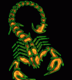 camel88