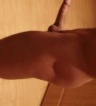 ikona