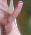 kocour71