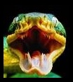 snake.r1