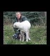 hasky10