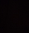 ryba_1