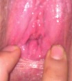 zadecek555