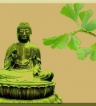 ikona