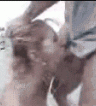 ikona