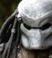 predator1488
