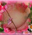 vanne