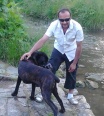 bazzy