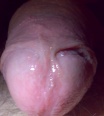 mc_cicek