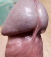 11herkules1