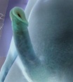 vasentochce
