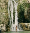 oded