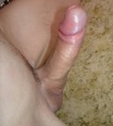 pavle