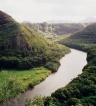ikona