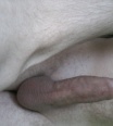 ppmm885