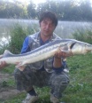 scudo11