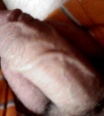 lukas199022