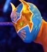 ikona