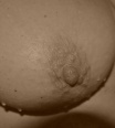 aninka68