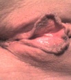 aja33