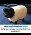 vladimirek82