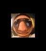 ikona