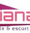 ikona