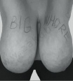 gloria_xxl