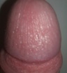 ikona