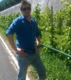 sidno
