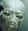 ikona