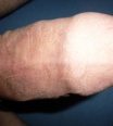 thebigbull