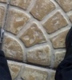 bedysek