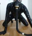 gumovnik
