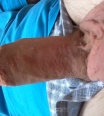 maladro