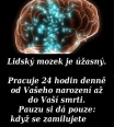 jajda1