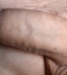 ikona