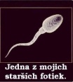 mrdator_kund