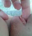 slunecniceop