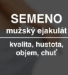 ikona