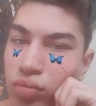 ikona