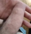 vizvari61