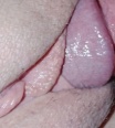 bimacek