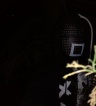 ikona