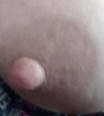 trojcicky