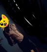 ikona