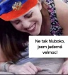 ikona