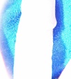prezdivka77