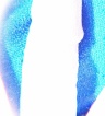 ikona