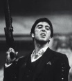 alpacino777